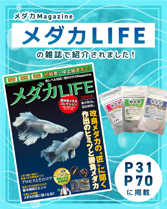 楽天市場 レビュー書いて500円offクーポン わさび 針子の餌 Premium めだか 針子の生存率向上 成長促進 飼育 飼育用品 餌 エサ 餌 パウダー 粉末 稚魚 繁殖 アクアリウム 専用 針子 フード エビ 栄養 豊富 生存率向上 こーじーすとあ 楽天市場店