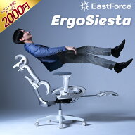 [新発売1000円OFF]ErgoSiesta エルゴシエスタ 国内メーカー 高級 オフィスチェア デスクチェア メッシュ …