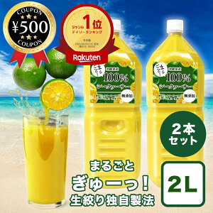 [yV1/250~OFF] V[N[T[ t 2L×2{Zbg ꌧY100% X Ɩp e mr`Lx ؂V[N[T[100 ܂邲 V[NA[T[ W[X t Xg[g Y