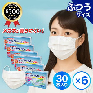 yr[500~offN[|z Kl܂ɂ ₷ }XN ӂTCY zCg  30 ×6Zbg sDz}XN ĝ ci ܂Ƃߔ e sDz {