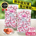 [楽天1位/送料無料] 栄光堂ファクトリー 梅塩飴 460個 2kg 小分け袋5枚付き 業務用サイズ 大容量 塩分補給 梅酢 うめ …
