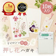 [楽天1位/送料無料] 押し花はがき ぴたっこ 手作りハガキ (無地) 四季 花々の美しさ 押し花ハガキ しおり…