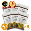 [楽天1位/送料無料] 北海道十勝産（農薬不使用） ペポカボチャの種（焙煎） 40g 6個セット 北海道十勝産 おやつ おつまみ サラダ かぼちゃの種 カボチャの種 健康 ローストタイプ カリカリ 香ばしい まとめ買い 大容量