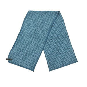 yőP5{I10/29zAUSSTI AXeB tW}^I / FT2460 