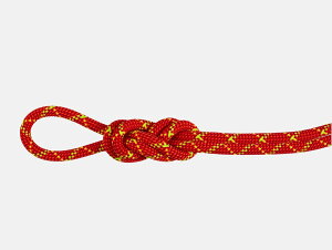 NEW! MAMMUT }[g / 8.0ApCRAveNghC[v50m / J[F3788ifire-haloj / 8.0 Alpine Core Protect DryRope50m 2010-05050_3788