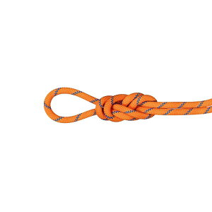 yőP5{I11/29zNEW! MAMMUT }[g 9D0 ApC Z_[ hC [v 50m / J[F2154isunrise-icej/ 9.0 Alpine Sender Dry Rope 50m 2010-05360_2154