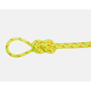 NEW! MAMMUT }[g / 9.5ApCRAveNghC[v60m / J[F1287ihalo-vibrant orangej / 9.5 Alpine Core Protect DryRope 60m 2010-05450_1287