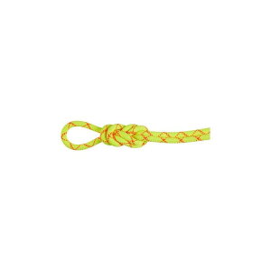 NEW! MAMMUT }[g 9.5 ApC RA veNg hC[v 80m / J[F1287ihalo-vibrant orangej/ 9.5 Alpine Core Protect Dry Rope 80m 2010-05470 1287