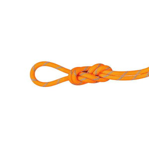 yőP5{I11/29zNEW! MAMMUT }[g 9D5 ApC hC [v 50m / J[F2286ivibrant orange-zenj/ 9.5 Alpine Dry Rope 50m 2010-05520_2286
