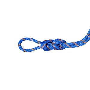 yőP5{I11/29zMAMMUT }[g 9D0 ApC Z_[ hC [v 50m / J[F5925iice-sunrisej/ 9.0 Alpine Sender Dry Rope 50m 2010-05360 5925