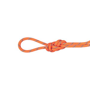 yőP5{I11/29zMAMMUT }[g 7D5 ApC Z_[ hC [v 60m / J[F3787ifirebluej/ 7.5 Alpine Sender Dry Rope 60m 2010-05490 3787