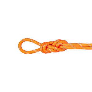 yőP5{I11/29zMAMMUT }[g / 9D5 ApC hC [v 70m / J[F2286ivibrant orange-zenj / 9.5 Alpine Dry Rope 70m 2010-05540_2286