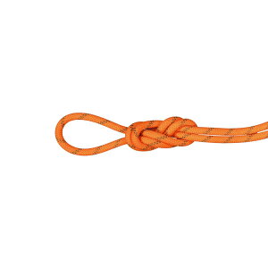 yőP5{I11/29zMAMMUT }[g / 8D0 ApC hC [v 60m / J[F2284ivibrant orange-boaj / 8.0 Alpine Dry Rope 60m 2010-05140_2284