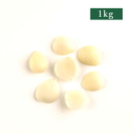 （常温）送料無料 南杏（ナンキョウ） 徳用 1kg | 古樹軒 なんきょう 南杏仁 甜杏仁 杏仁豆腐 あんにんど…