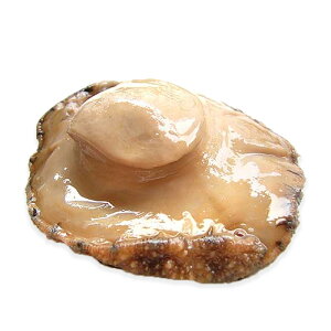 �i�퉷�j���g���g鸁i�ނ�����сj | �Î��� �����i �ʔ� �̔� �������� �A���r ����� ���ؗ��� ����т��� ����т��͂� ���V�s ���� �C�N ���� �z�^�e �r�[�� ���܂�