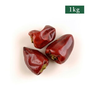 i퉷jipjV煞il쓂hq z[j1kg |Î  H V煞 `EeK[WI  ` l엿 ؗ {i k }[{[hEt uߕ g 