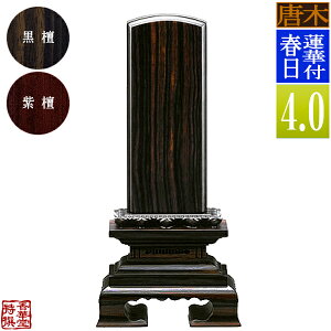 y앪 㖳z؈ʔv @ؕtt h/h4.0F19.4cmy[ڈFʏ12`14cƓz