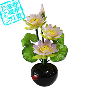 y~񓔁zԕtO/t[Cg Oh~iXSTD @̉؁PC/@47cm{SK}y[ڈFʏ3`5cƓz