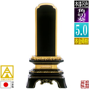 y{zy앪 㖳zÈʔv CF p؈ {(ʕ)5.0F24.1cmy[ڈFʏ12`14cƓz