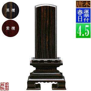 y앪 㖳z؈ʔv @ؕtt h/h4.5F21.5cmy[ڈFʏ12`14cƓz