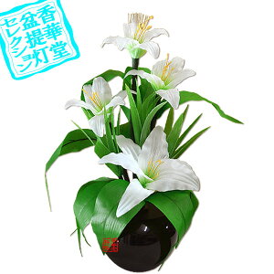 y~񓔁zԕtO/t[Cg Oh~iXSTD S̕([)PC/@50cm{SK}y[ڈFʏ3`5cƓz