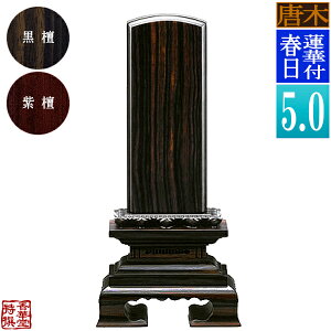 y앪 㖳z؈ʔv @ؕtt h/h5.0F23.3cmy[ڈFʏ12`14cƓz