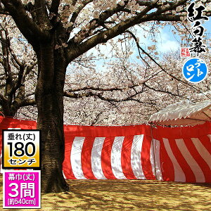 y󒍐Yz^g [O×6]eg[]540cm×() 180cm(6) Ђ͕K傫߂̎dオ  ܂܂  ͂܂y[ڈFʏ3TԌ㔭z