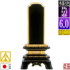 y{zy앪 㖳zÈʔv CF p؈ {(ʕ)6.0F28.3cmy[ڈFʏ12`14cƓz