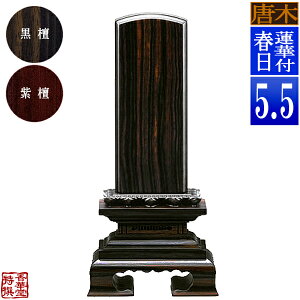 y앪 㖳z؈ʔv @ؕtt h/h5.5F25.5cmy[ڈFʏ12`14cƓz