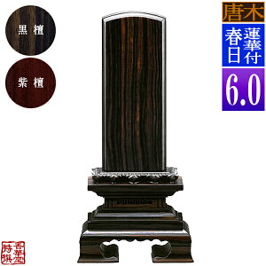 y앪 㖳z؈ʔv @ؕtt h/h6.0F27.7cmy[ڈFʏ12`14cƓz
