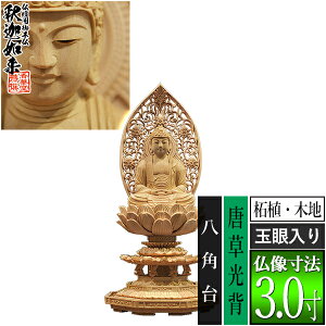 yؓdp䕧zyT@pz߉ ѐA(ؒn) [ʊ] 3.0w p [S300×143×s131mm]߉ޔ@/߉ޖ/߉ލ/߉ލy[ڈFʏ3`5cƓ