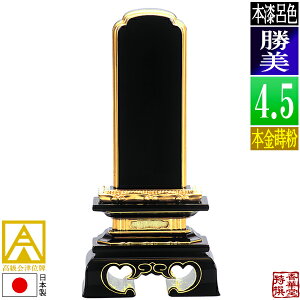 y{zy앪 㖳zÈʔv CF  {(ʕ)4.5F21.8cmy[ڈFʏ12`14cƓz