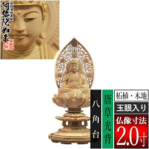 �y���ؓ�������d�p�䕧���z�y�V��@�p�z����� �ѐA��(�ؒn) [�ʊ����] 2.0���������w ���p�� [�S��225×��101×���s94mm]����ɔ@��/����ɕ�/����ɍ���/����ɍ����y�[���ڈ��F�ʏ�3�`5�c