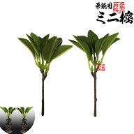仏壇用 浄土真宗 華鋲用ミニしきみ 造花 仏具 しきみ 全長約12cm×2本(一対) ※けびょうは別売です【納期…