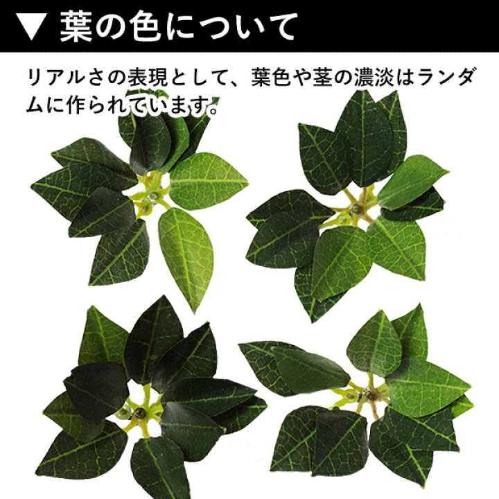 楽天市場】【仏壇用】【浄土真宗】華鋲用ミニしきみ 全長約12cm×2本(一対 )※けびょうは別売りです【配送区分:a】営業日正午迄のご注文で即日出荷ゆうパケット(メール便)は全国一律||送料無料|| ※宅配便は送料別途要 : 京都の仏具屋さん 香華堂 楽天市場】【仏壇用】【浄土真宗】華鋲用ミニしきみ 全長約12cm×2本(一対 )※けびょうは別売りです【配送区分:a】営業日正午迄のご注文で即日出荷ゆうパケット(メール便)は全国一律||送料無料|| ※宅配便は送料別途要 : 京都の仏具屋さん 香華堂