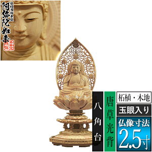 �y���ؓ�������d�p�䕧���z�y�V��@�p�z����� �ѐA��(�ؒn) [�ʊ����] 2.5���������w ���p�� [�S��260×��120×���s113mm]����ɔ@��/����ɕ�/����ɍ���/����ɍ����y�[���ڈ��F�ʏ�3�`5�c