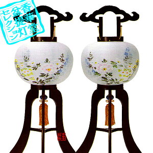y~񓔁zΕs(3{) 10 ڑ (21g)ؐ/d77cm×Α܌a()30cm{SK}y[ڈFʏ3`5cƓz