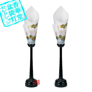 y~񓔁zns/_ @؈ (21g)ؐ/[47cm{HS}y[ڈFʏ8~10cƓz