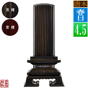 y앪 㖳z؈ʔv t h/h4.5F21.4cmy[ڈFʏ12`14cƓz