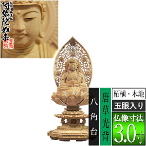 yؓdp䕧zyV@pz ѐA(ؒn) [ʊ] 3.0w p [S300×143×s131mm]ɔ@/ɕ/ɍ/ɍy[ڈFʏ3`5c