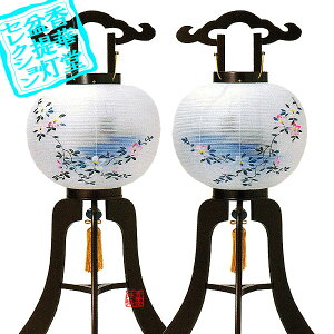 y~񓔁zΕs(3{) 10 ؒ (21g)ؐ/d83cm×Α܌a()33cm{SK}y[ڈFʏ3`5cƓz