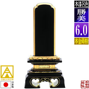 y{zy앪 㖳zÈʔv CF  {(ʕ)6.0F28.3cmy[ڈFʏ12`14cƓz