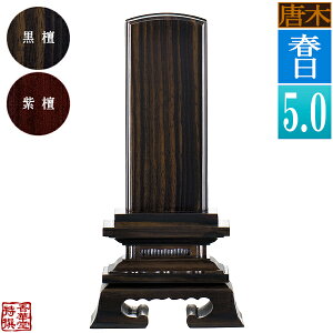 y앪 㖳z؈ʔv t h/h5.0F23.5cmy[ڈFʏ12`14cƓz