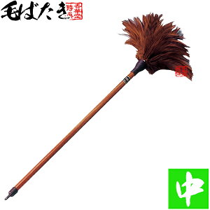 т΂(͂/ѕ/Ԃn^L) yzy[ڈFcƓ̐ߎtœoׁz