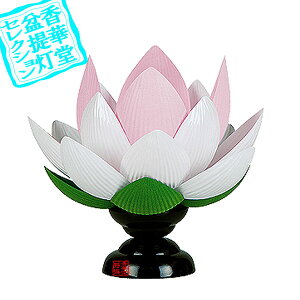 y~񓔁zns/_ Ԙ@[]t] (21g)PC20cm×18cm{AS}y[ڈFʏ3`5cƓz