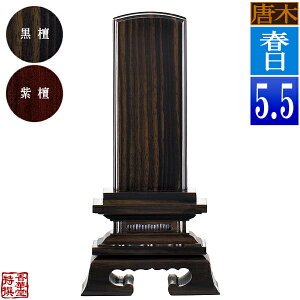y앪 㖳z؈ʔv t h/h5.5F25.5cmy[ڈFʏ12`14cƓz
