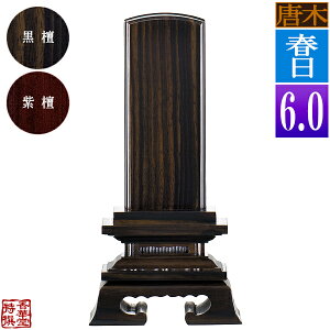 y앪 㖳z؈ʔv t h/h6.0F28.0cmy[ڈFʏ12`14cƓz