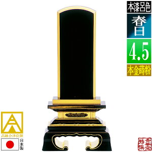 y{zy앪 㖳zÈʔv CF t {(ʕ)4.5F21.5cmy[ڈFʏ12`14cƓz