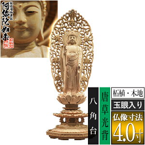 yؓdp䕧zyy@pzM ѐA(ؒn) [ʊ] 4.0M^w p [S266×101×s90mm]ɔ@/ɗy[ڈFʏ3`5cƓz