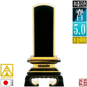 y{zy앪 㖳zÈʔv CF t {(ʕ)5.0F23.5cmy[ڈFʏ12`14cƓz